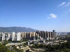 -金鸡山公园