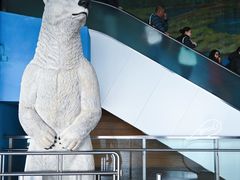 -香港海洋公园