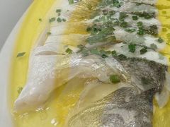 -沈灶河豚宴·河豚融合餐厅(汉中路店)