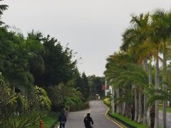 -黄金海岸环岛路