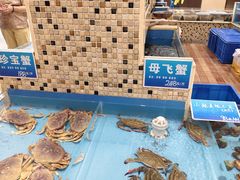 -双井轩(双井店)