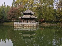 -习家池
