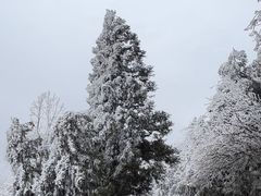 -俏湘厨•地道湘菜(建华南路店)