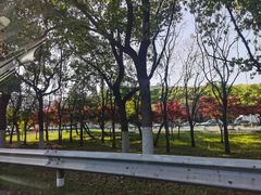 -太阳岛度假酒店