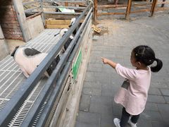 -北京鹿世界主题园