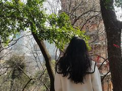 -宝通禅寺