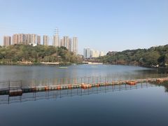 -重庆彩云湖湿地公园