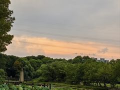 -八卦田遗址公园