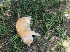 -北京鲁迅博物馆(北京新文化运动纪念馆鲁博馆区)