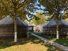 包房-九十九顶毡房(阜石路店)