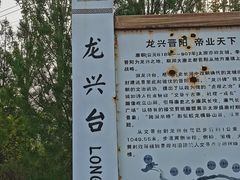 -五龙城郊森林公园