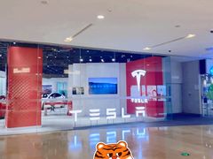 -TESLA 特斯拉(北京颐堤港体验店)