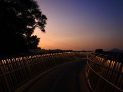 -福道