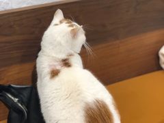 -B.O.M波姆烘焙(凤凰街店)