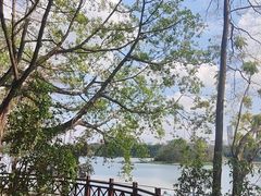 -南宁南湖公园