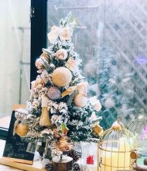 -M Nails & Beauty美甲美睫美体