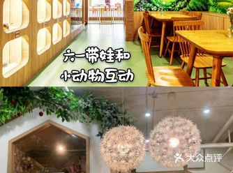 带娃快来和小动物们一起来玩耍吧