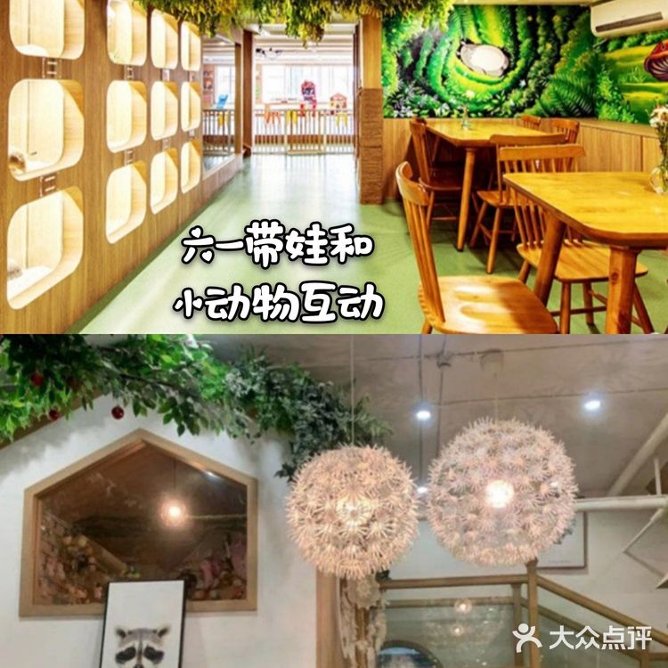 带娃快来和小动物们一起来玩耍吧[亲亲]