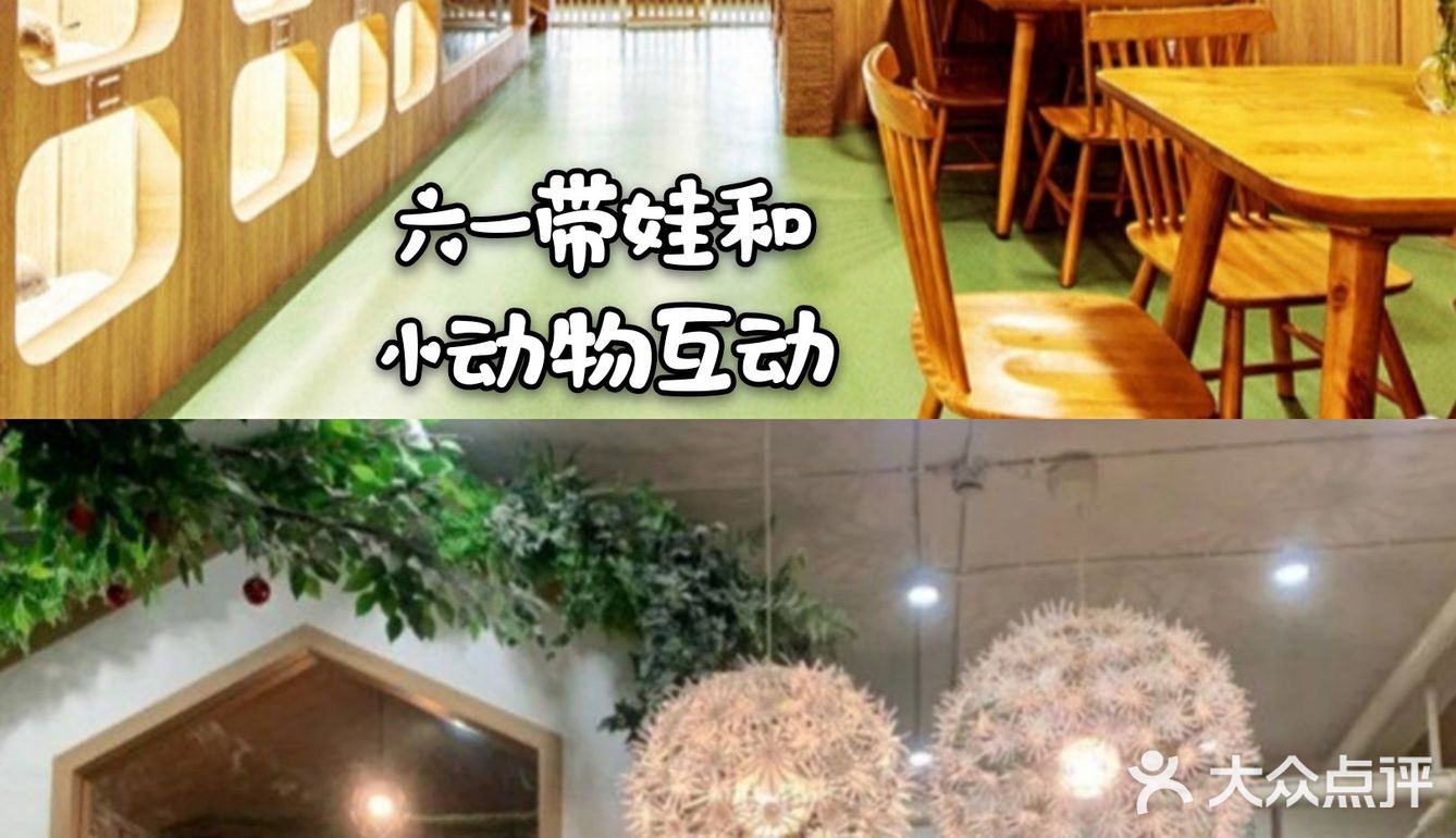 带娃快来和小动物们一起来玩耍吧[亲亲]
