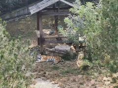 -石家庄市动物园