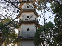 -江心屿景区