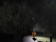 -印象普陀