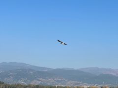 -西昌邛海湿地
