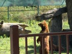-杭州野生动物世界
