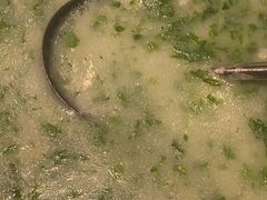 -肖记公安牛肉鱼杂馆· 省级非物质文化遗产(仁和路店)