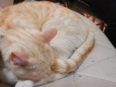 -小时光咖啡馆(北锣鼓巷店)