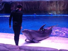 -华夏文旅海洋公园