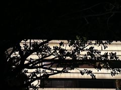 -三亚太阳湾柏悦酒店