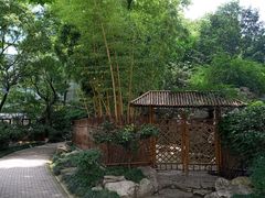 -静安公园(静安寺街道)
