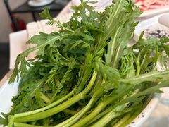 茼蒿菜-德林酸菜鱼火锅(南丹店)