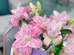 -星和深湾荟医疗美容