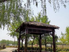 -东方假日田园-停车场