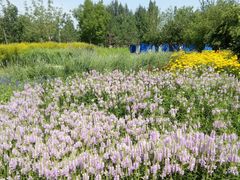 -长春公园(普阳街道)