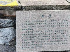 -上海方塔园