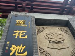 -莲花池公园