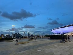 -王鼎精致料理铁板烧(世博源店)