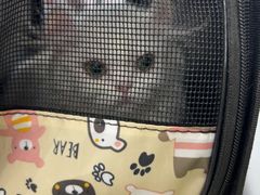 -瑞鹏宠物医院·普外科·影像科·皮肤科(城市山谷分院)