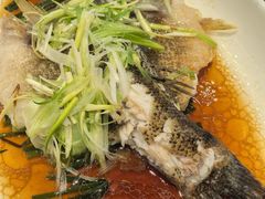 清蒸笋壳鱼-新南华大酒店(广中店)