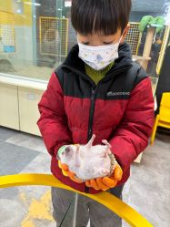 -神奇动物撸宠馆·羊驼·小浣熊·异宠(豫园店)