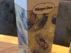 -哈根达斯(石家庄北国店)