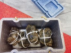 -蟹天蟹地农家菜·阳澄湖大闸蟹(浅水湾店)