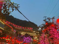 -枇杷园食为鲜火锅(南山店)