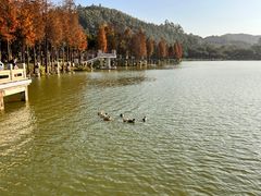 -顺峰山公园