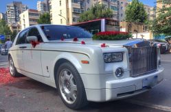 -蚂蚁婚车