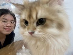 -李小姐の猫咖啡馆(五角场店)