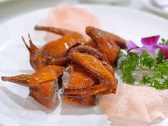 脆皮乳鸽-潮福城大酒楼·潮粤菜·港式点心(阳光城店)